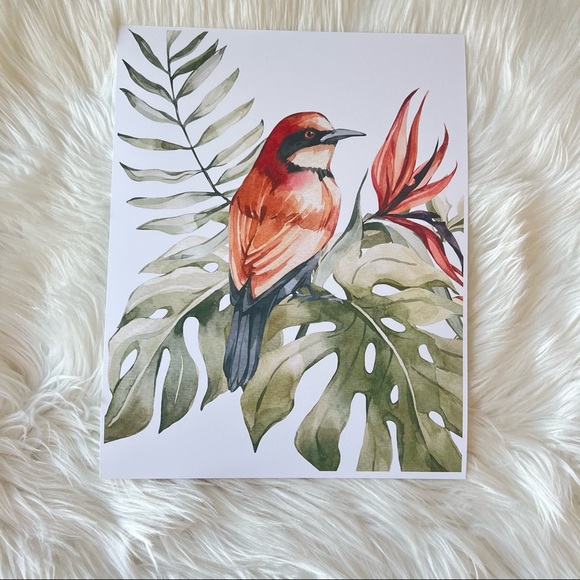 Bee-Eater Bird Watercolor Illustration Wall Art Print Poster Unframed - Picture 12 of 17